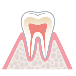 健康な歯ぐき
